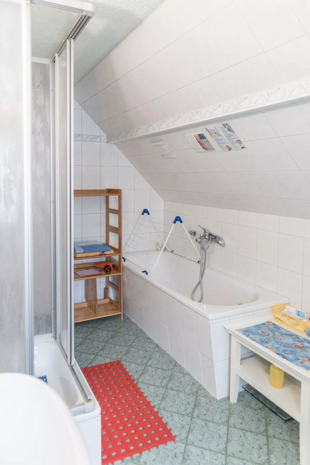 Löwenzahn mit Holu-Binnen