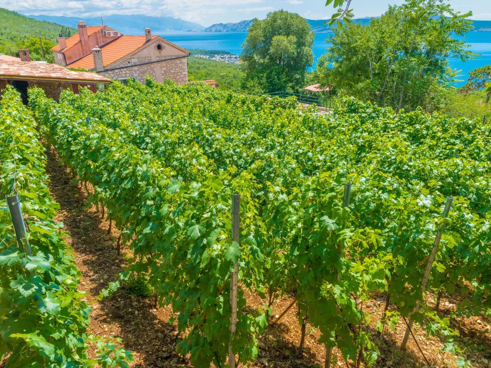 Ferienvilla Vesna in Crikvenica-Buiten