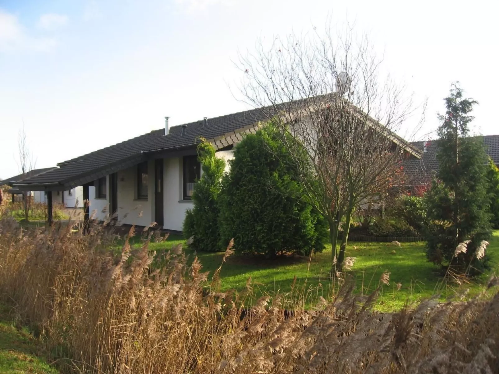 F12 Freistehendes Haus mit Garten an der Nordsee-Image-tags.info