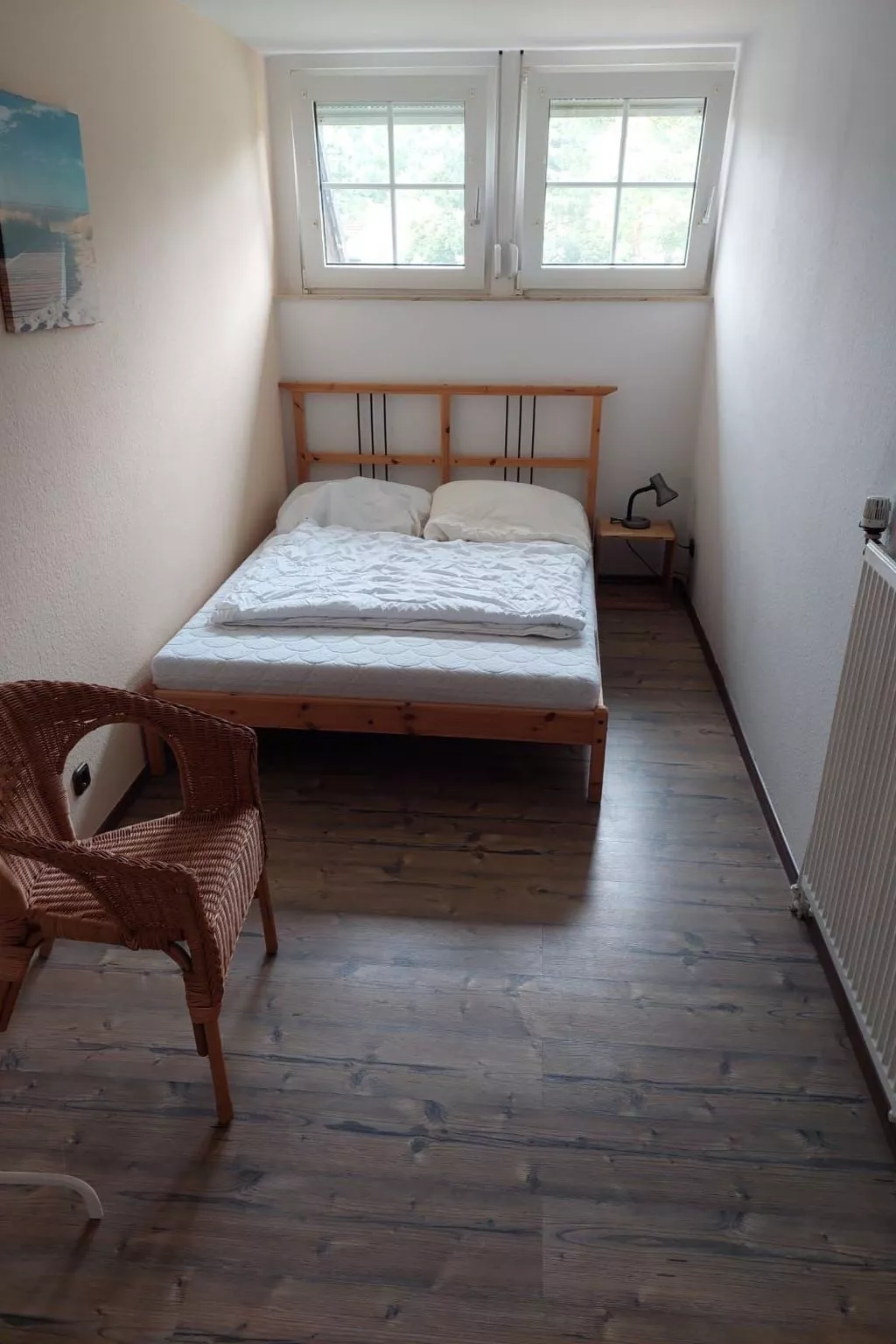 Möwe 16-Image-tags.info