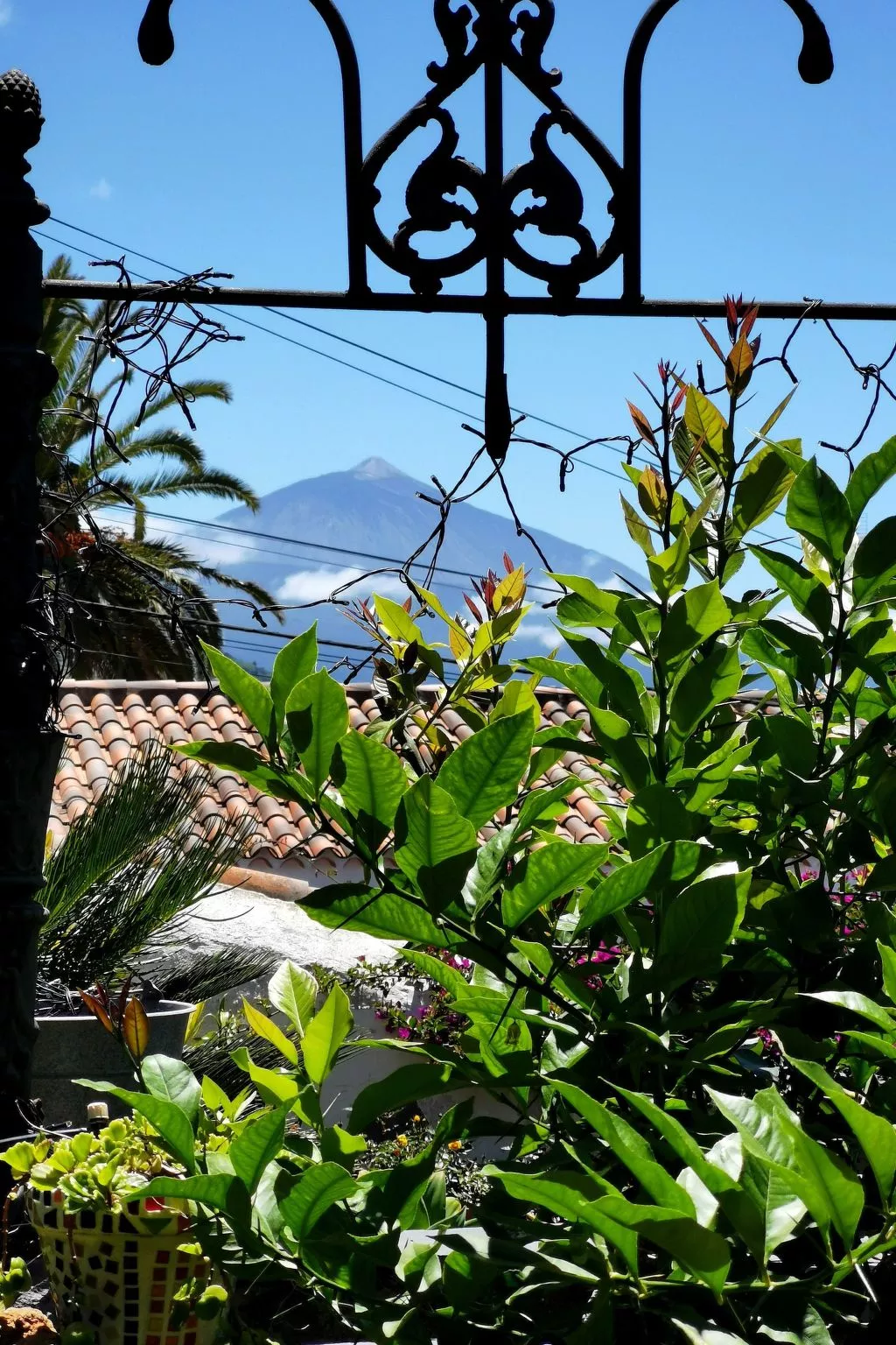 Renovierte Finca Paradies mit privatem Pool-Buiten