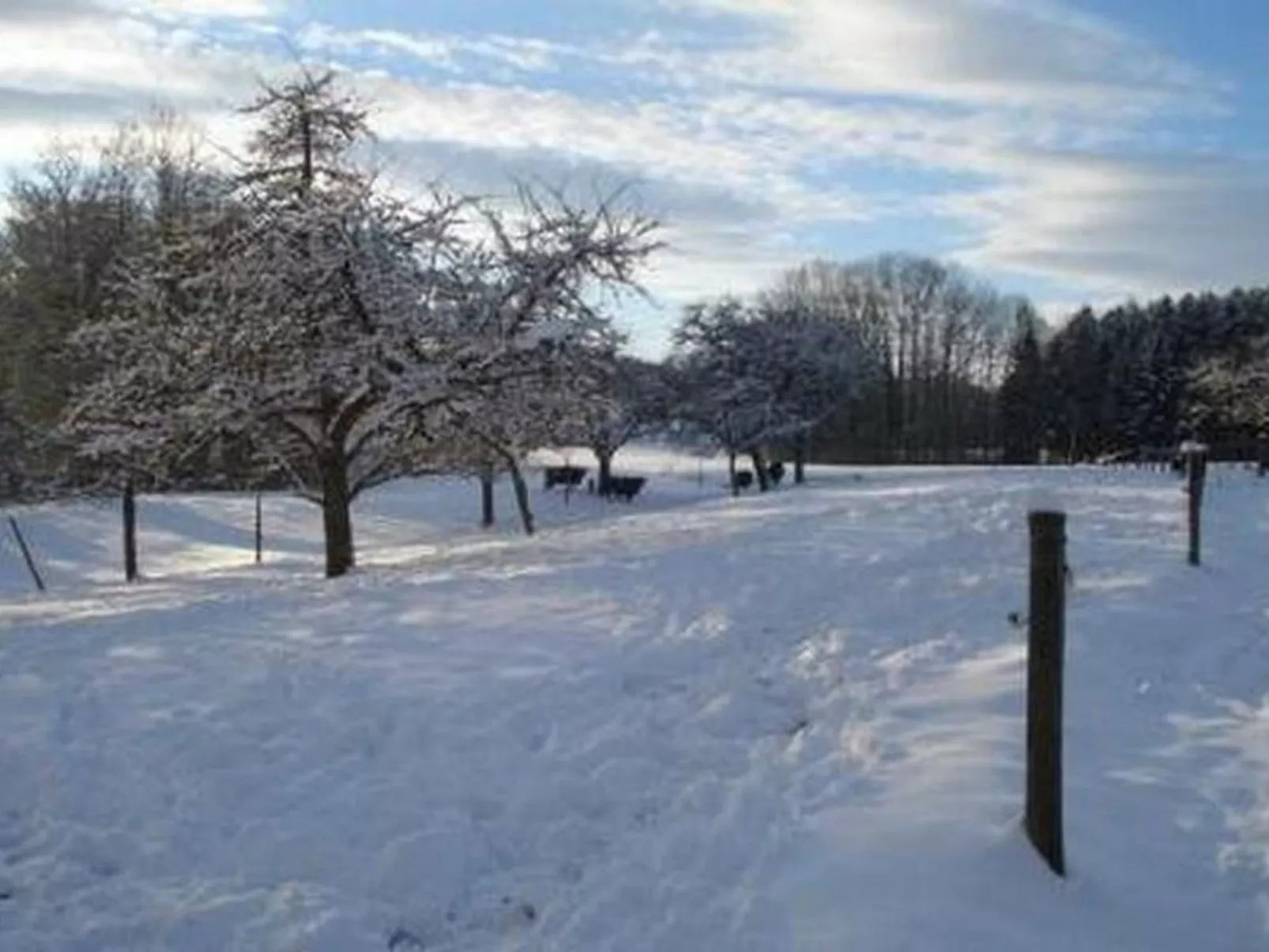 Biohof-Enderlin-Buiten