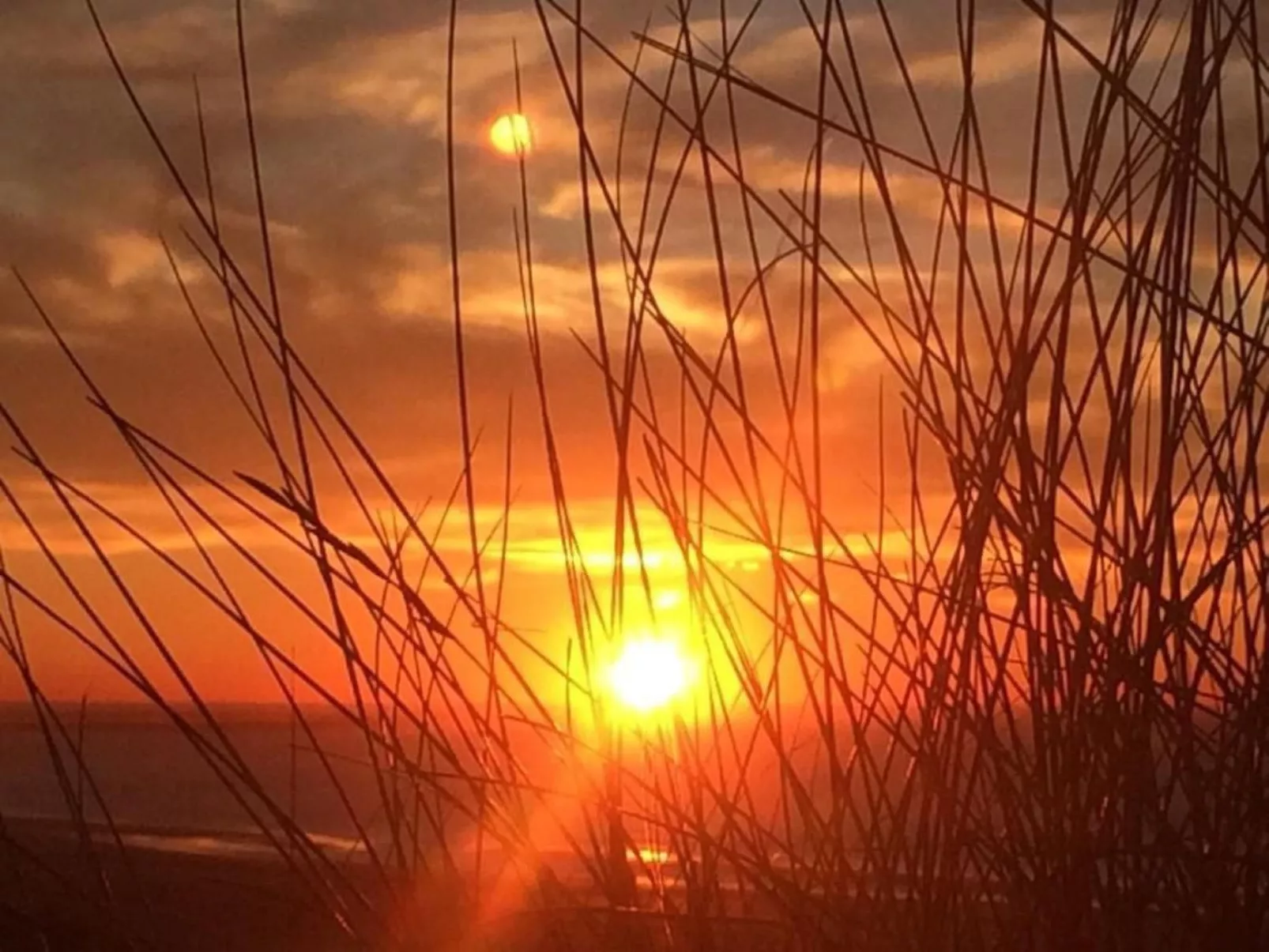 Strandhaus direkt am Meer-Buiten