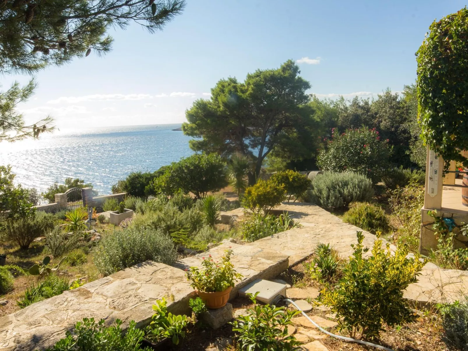 "Mirta" direkt am Strand-Image-tags.info