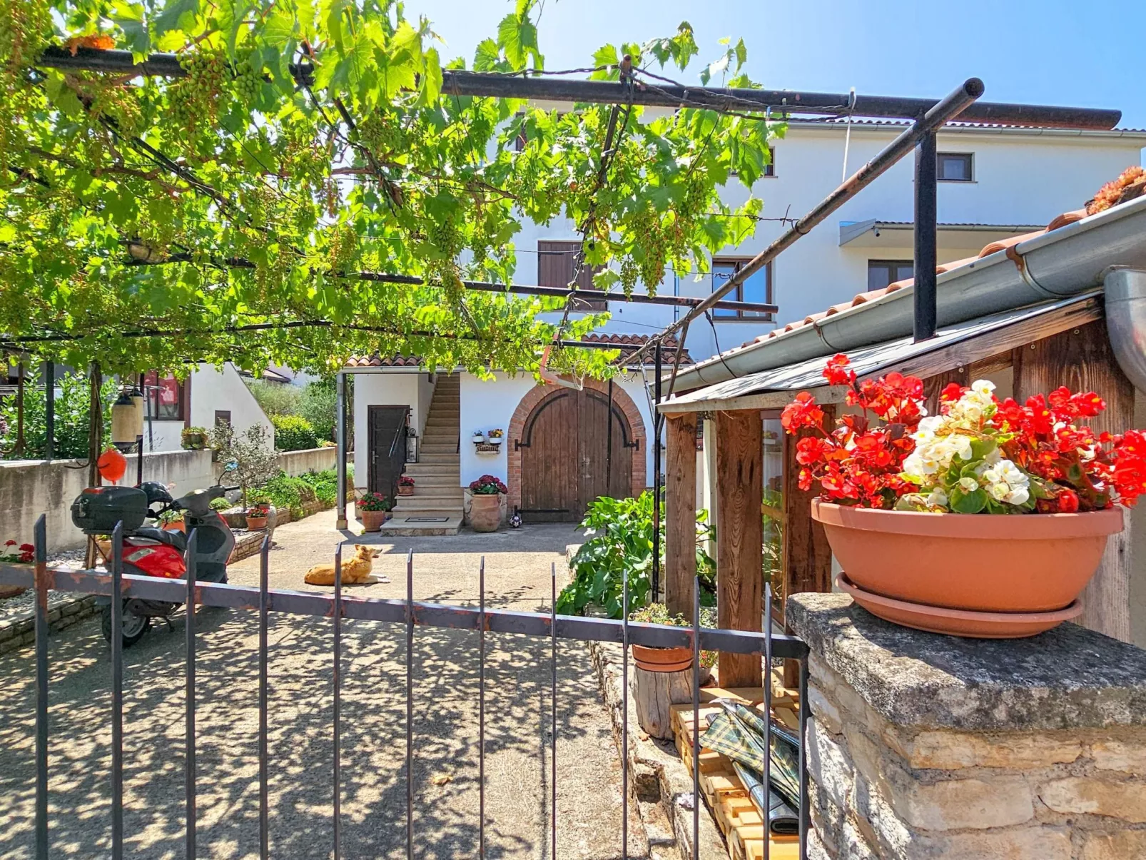 "Lara A4" mit Balkon-Buiten