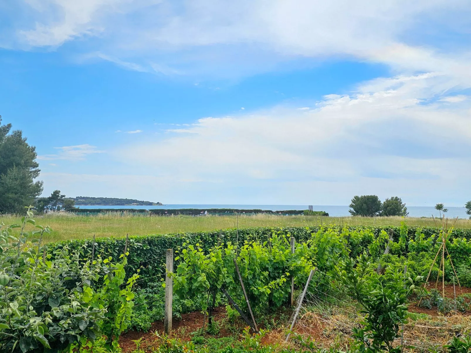 Für 4 Personen ca. 40 m&sup2; in Novigrad, Adriaküste Kroatien (Westküste von I-Buiten