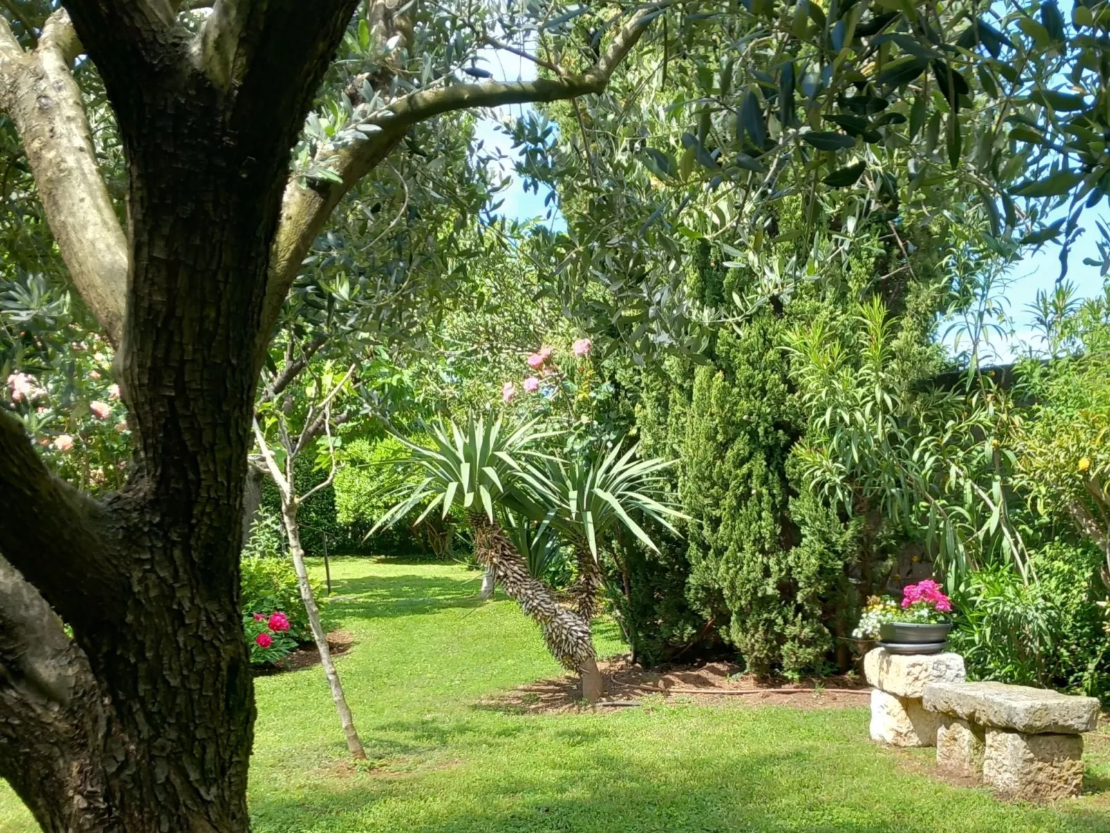Onda, Ferienwohnung  mit  Loggia und eigener Eingang-Buiten