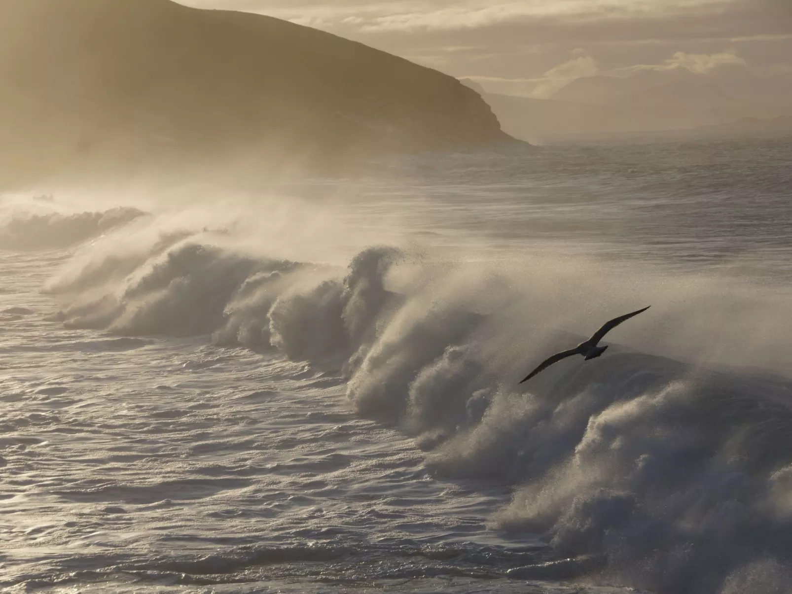 West Horizon Ferienhaus-Image-tags.info