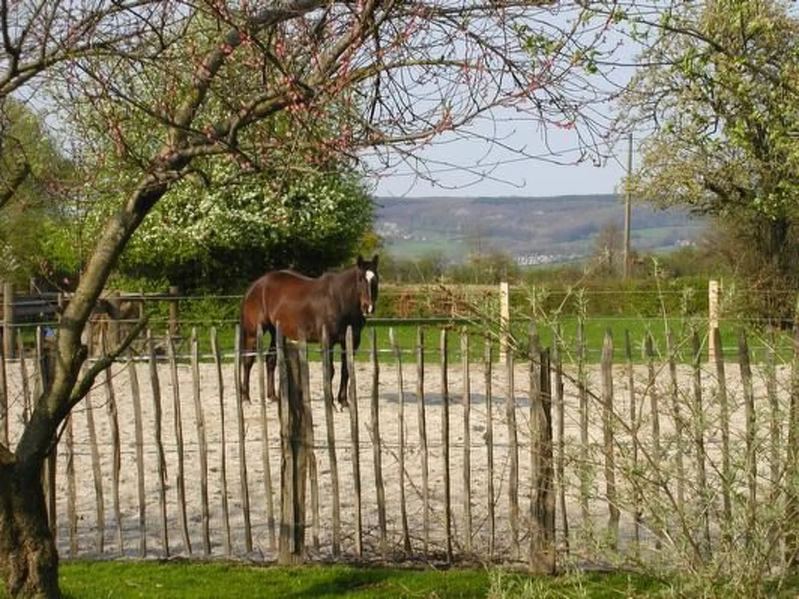 Vue au Jardin-Buiten