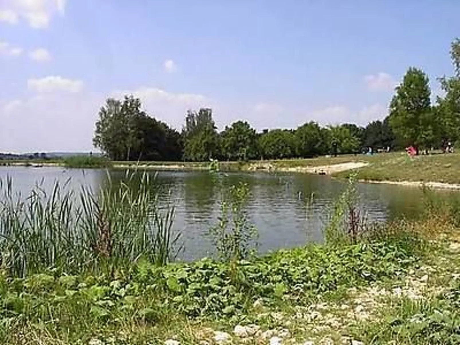 Große Ferienwohnung in Sinbronn mit Garten-Buiten