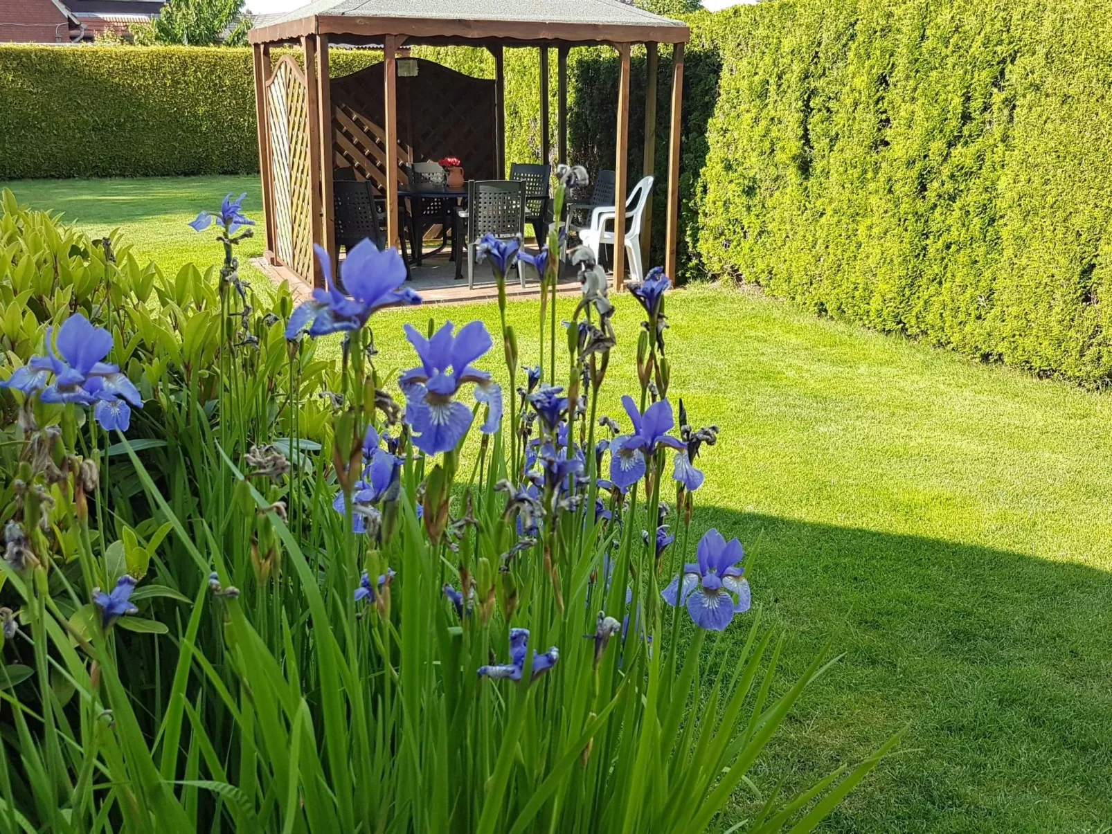 Ferienvilla mit Garten, Grill und Terrasse-Buiten