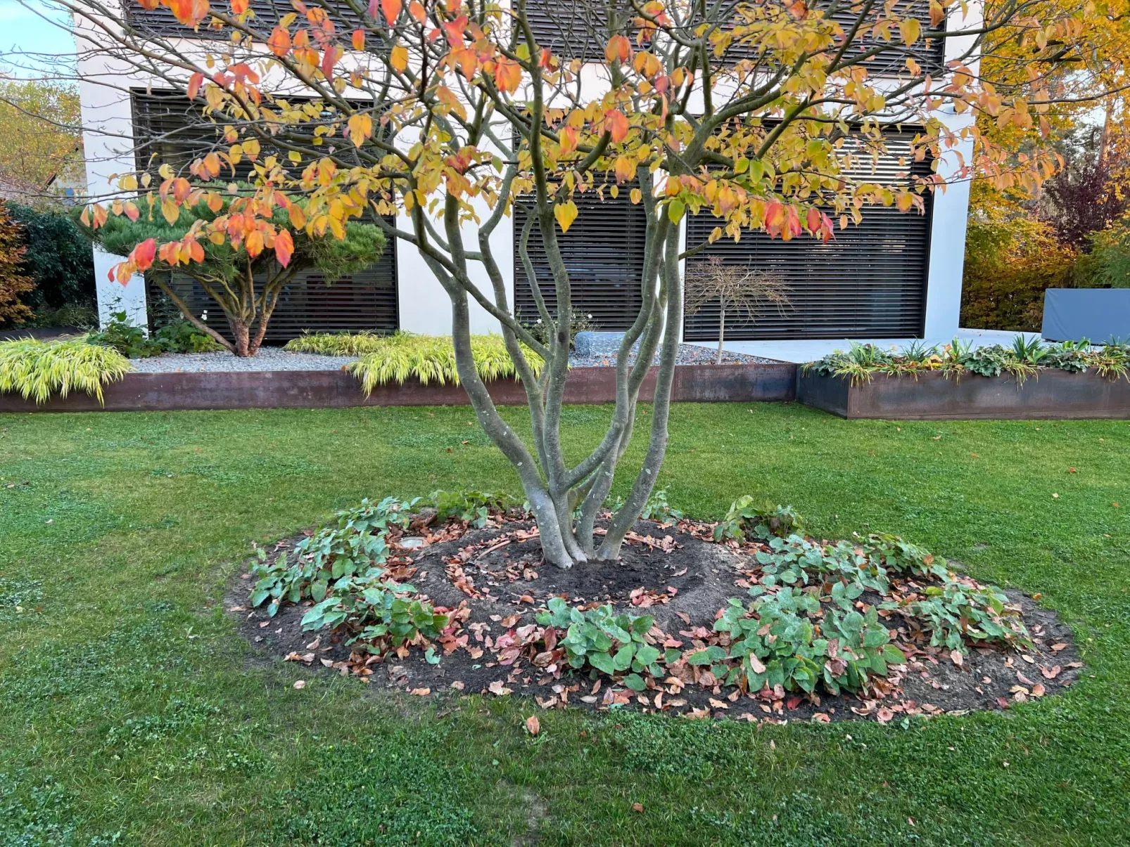 Modernes Einfamilienhaus-Image-tags.info