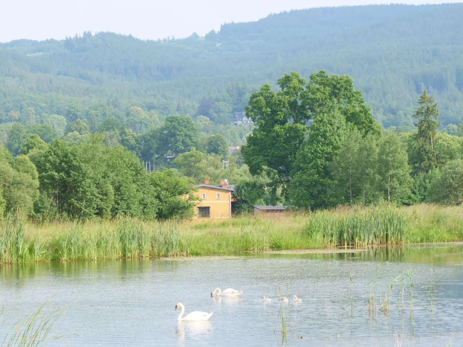 Für Gruppen und große Familien-Image-tags.info