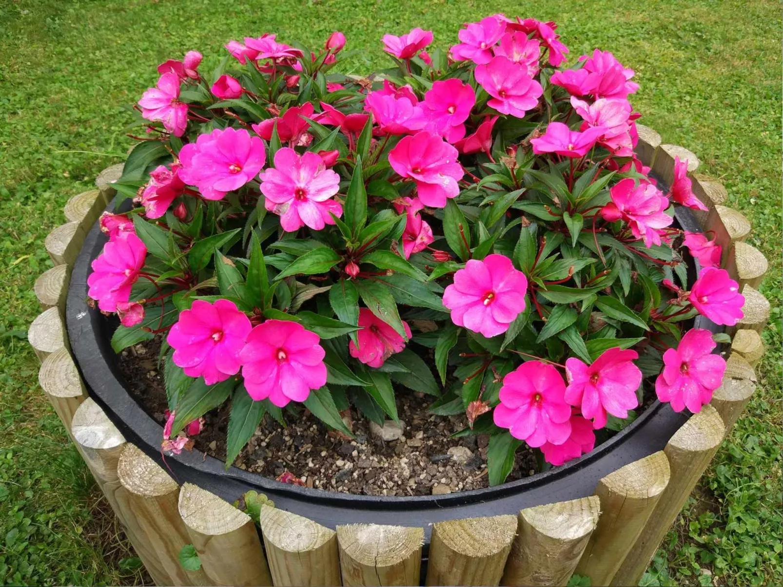 Wohnung Lapanja 2 mit Gemeinschaftsgarten-Image-tags.info