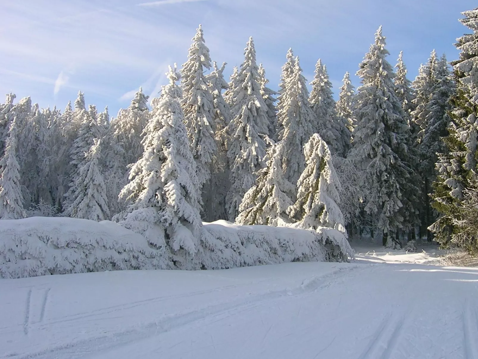 Kleine, gemütliche Ferienwohnung im Erholungsort-Buiten