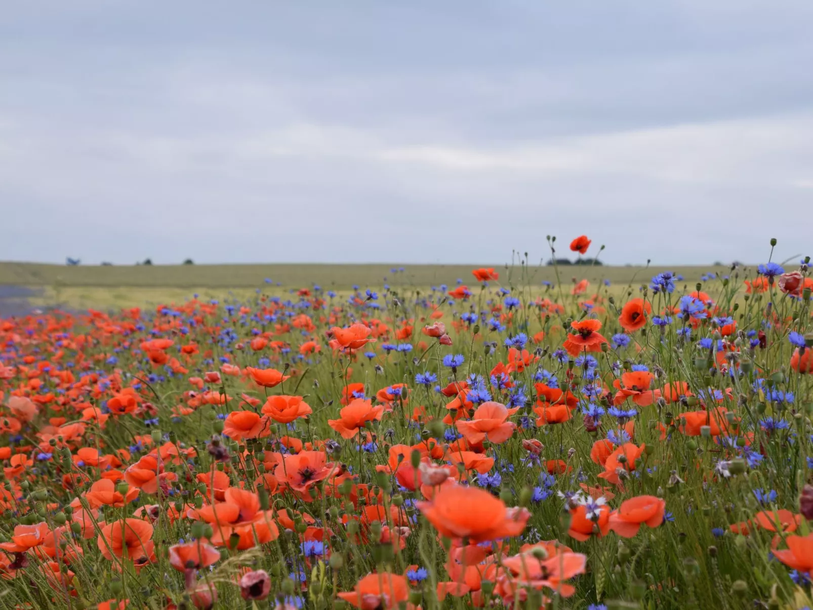 Stadt Apartement-Buiten
