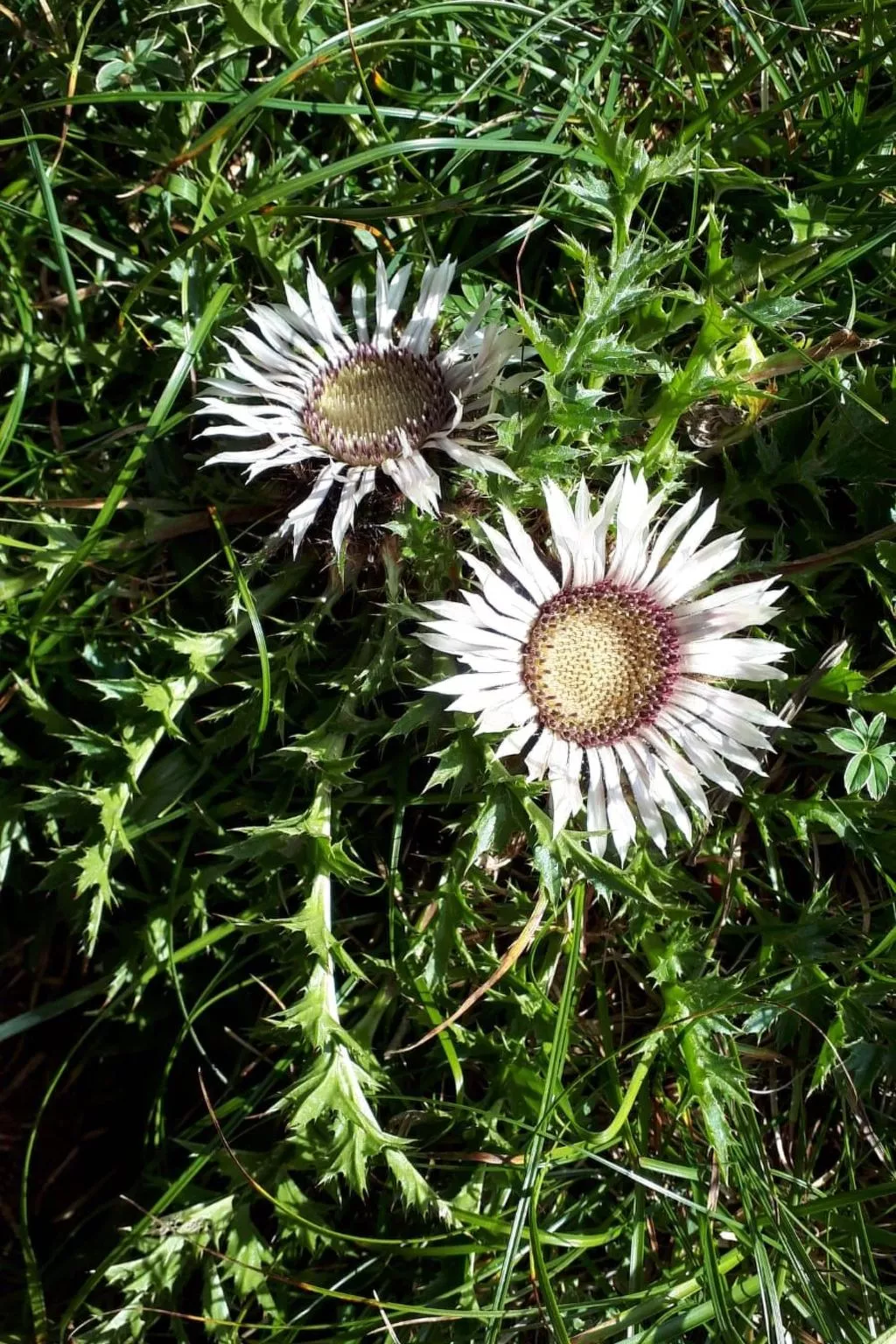 Gemütliches Ferienhaus in Fischbach Rhön-Image-tags.info