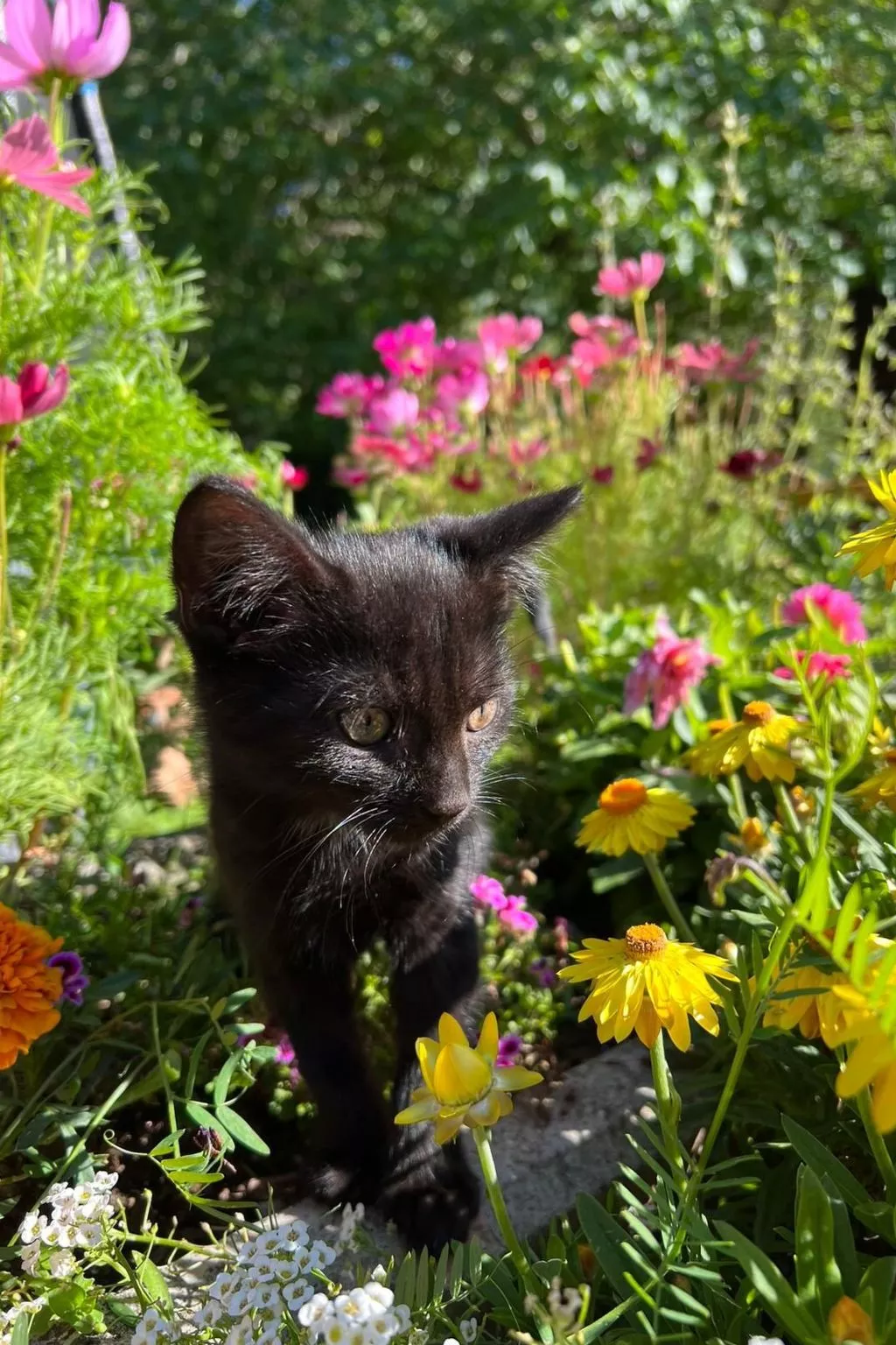 Umundumhütte-Image-tags.info