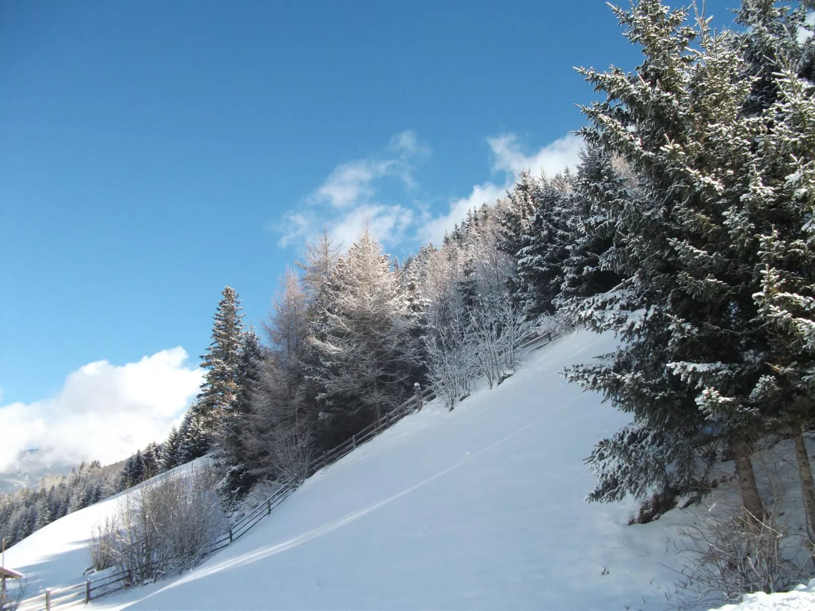 2 Ferienhaus Gassner in Navis-Buiten