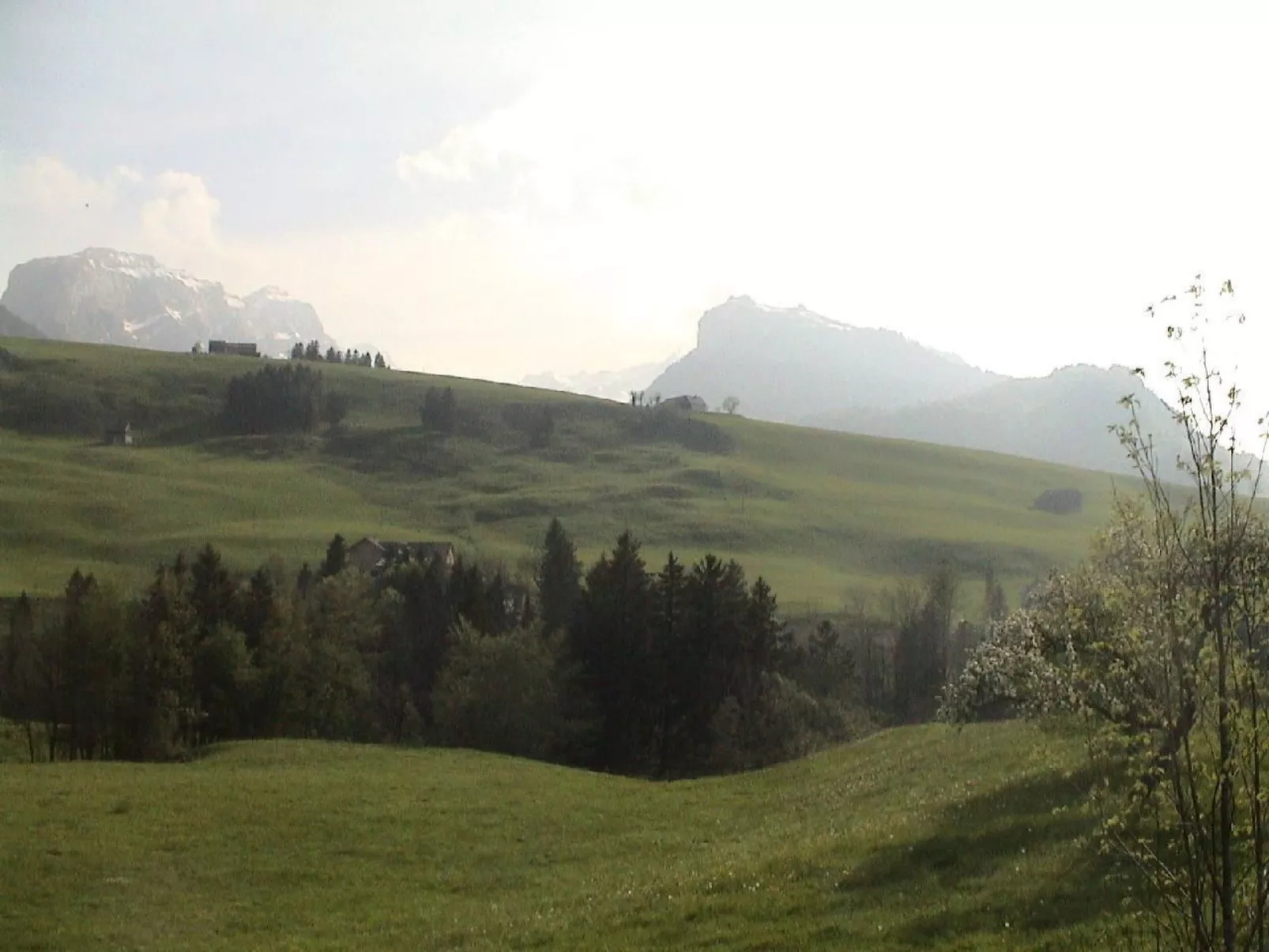 Sutter in Brülisau bei Appenzell-Buiten