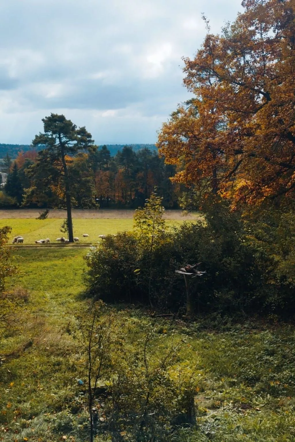 Waldhaus auf Randen-Buiten