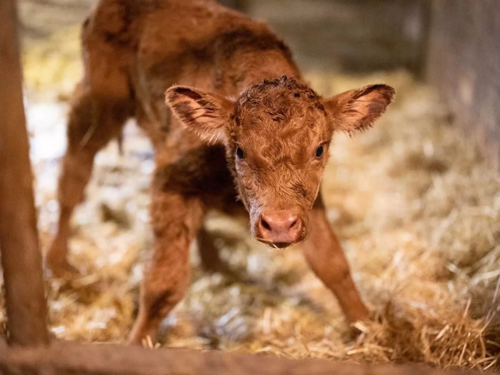 Muessache-Image-tags.info