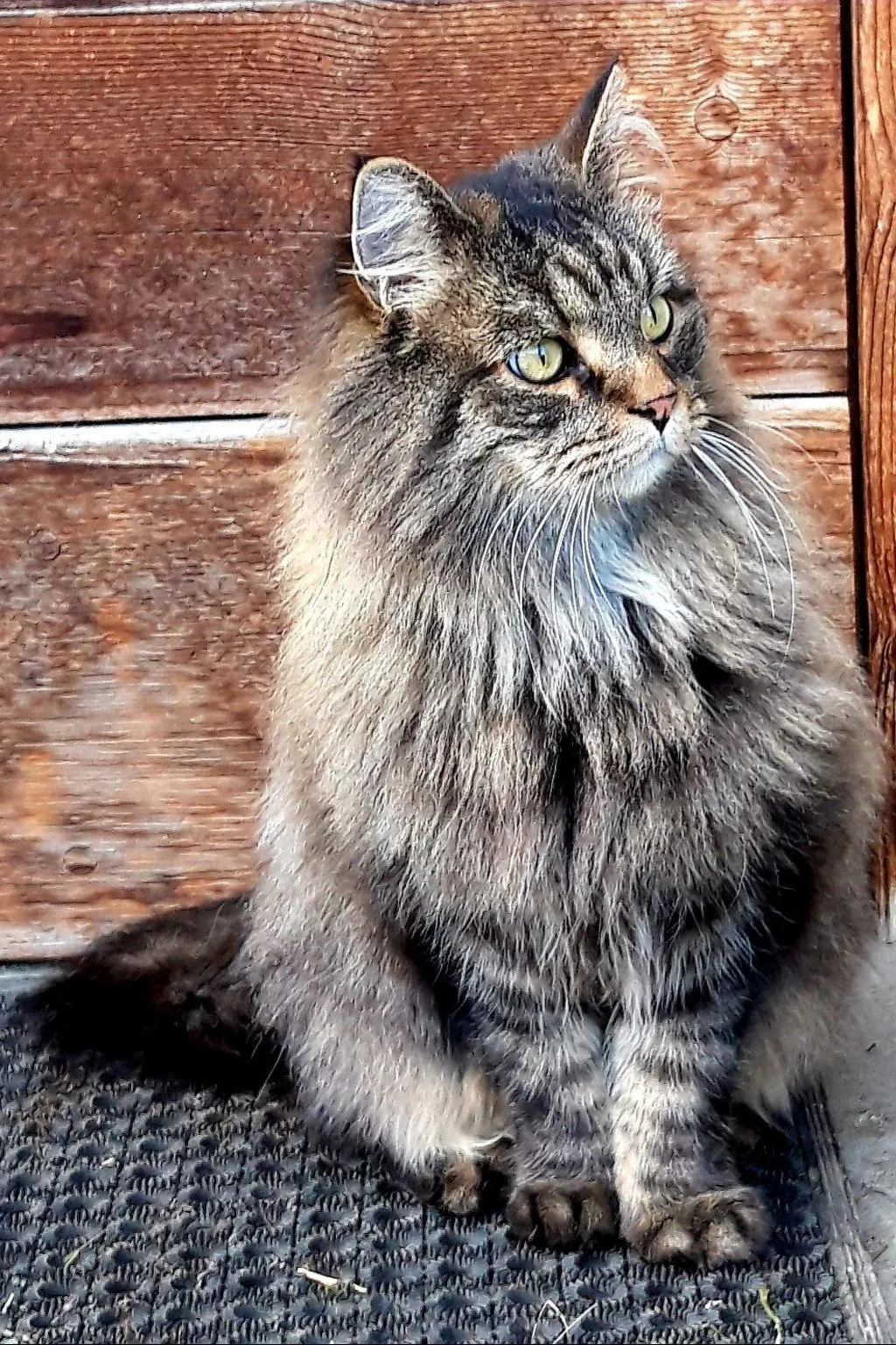 Hof Gross Gada-Buiten