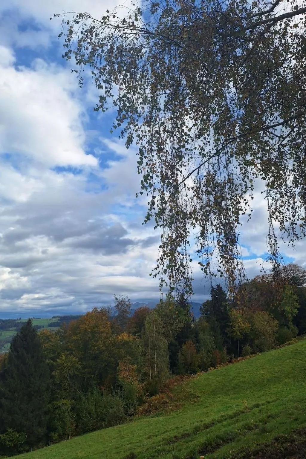 Unter Alpetli-Image-tags.info