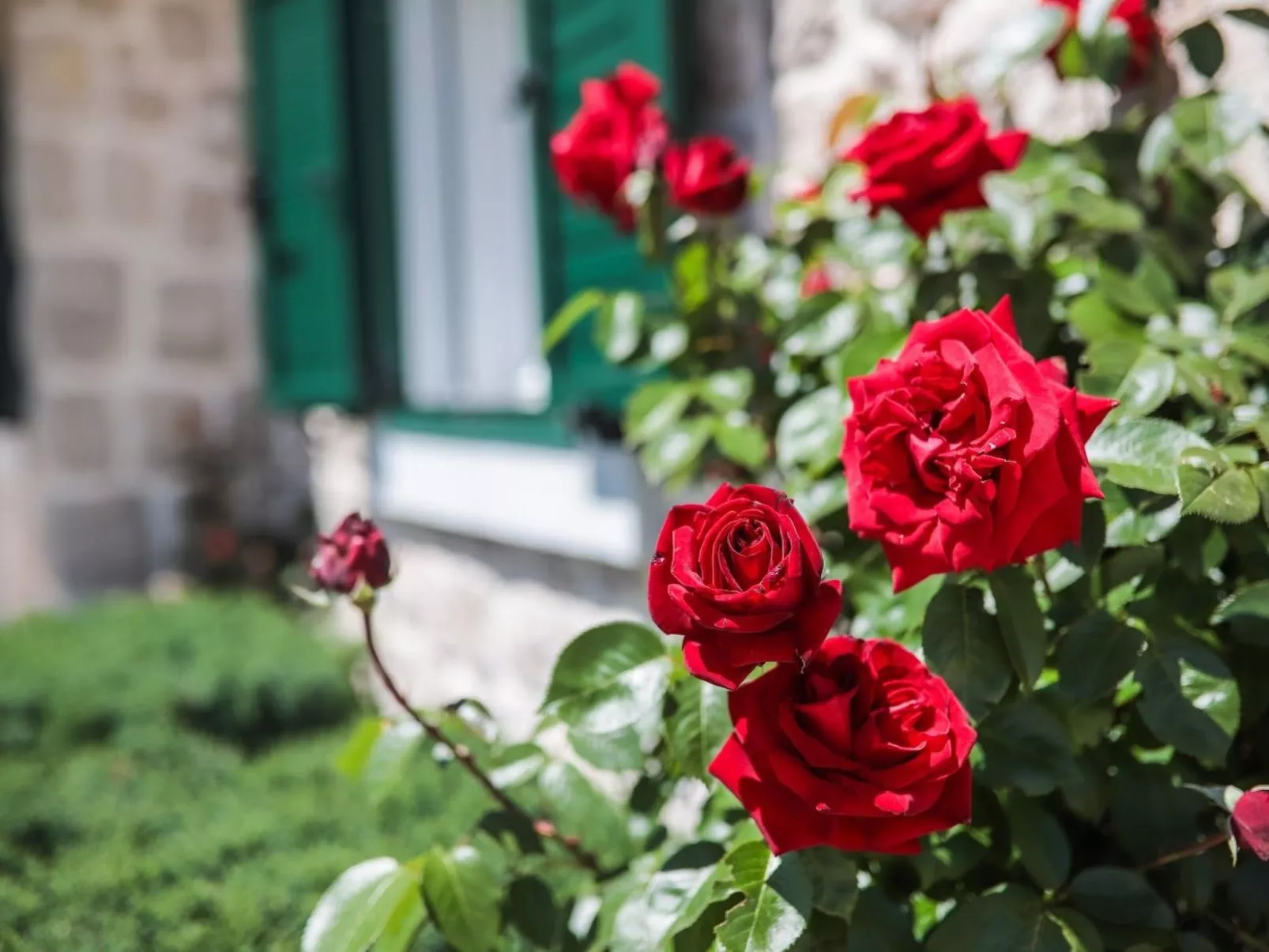 Freistehendes Ferienhaus in Duge Njive mit Privatem Pool-Image-tags.info