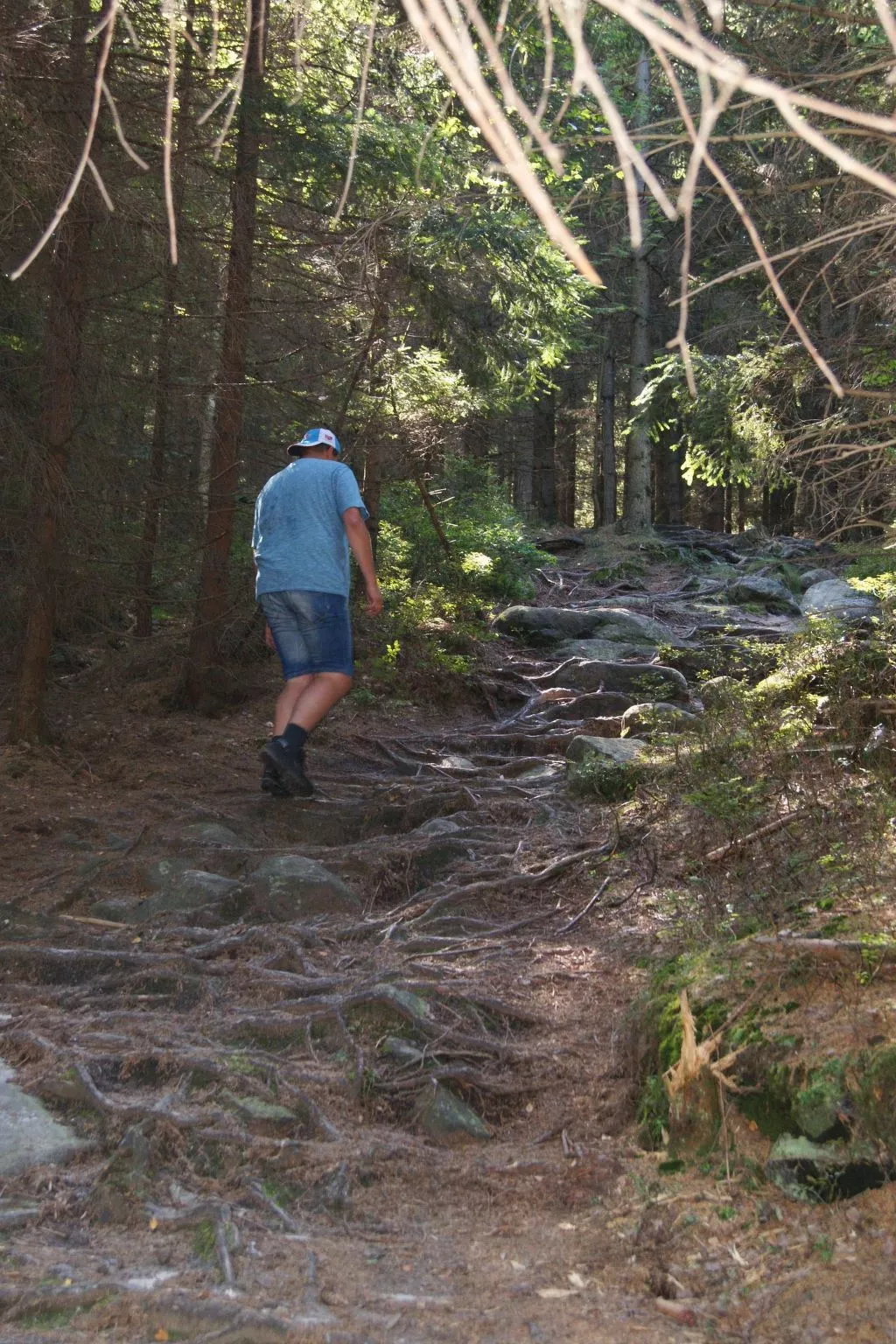 In natürlicher Umgebung-Image-tags.info