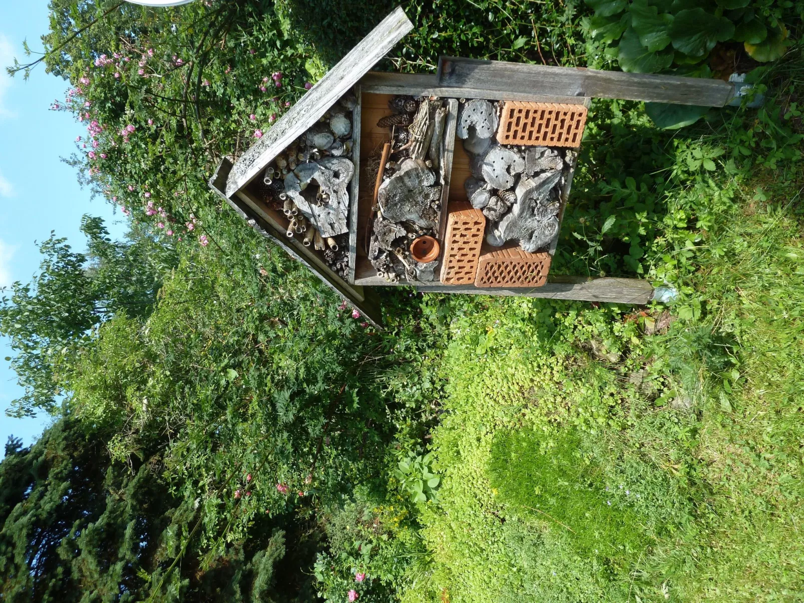 Landhaus Wildfeuer-Buiten