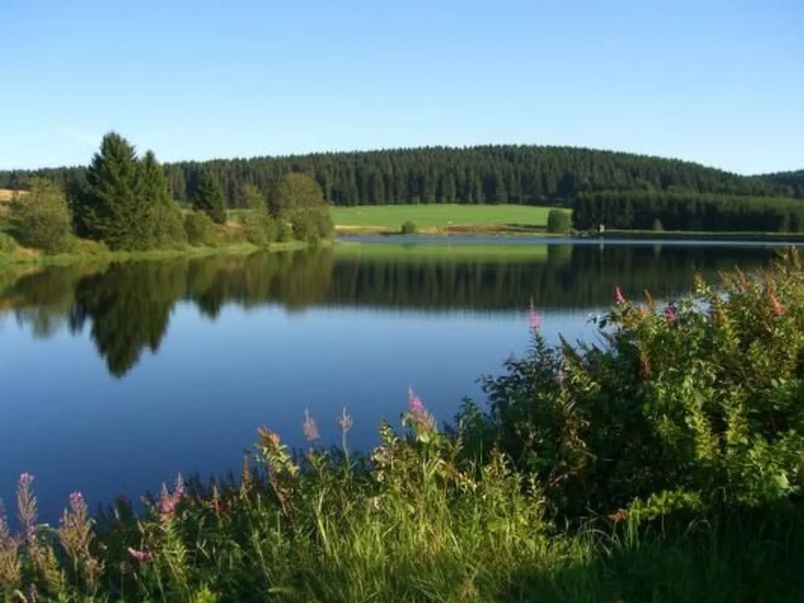 Ferienw. Natur pur-Image-tags.info