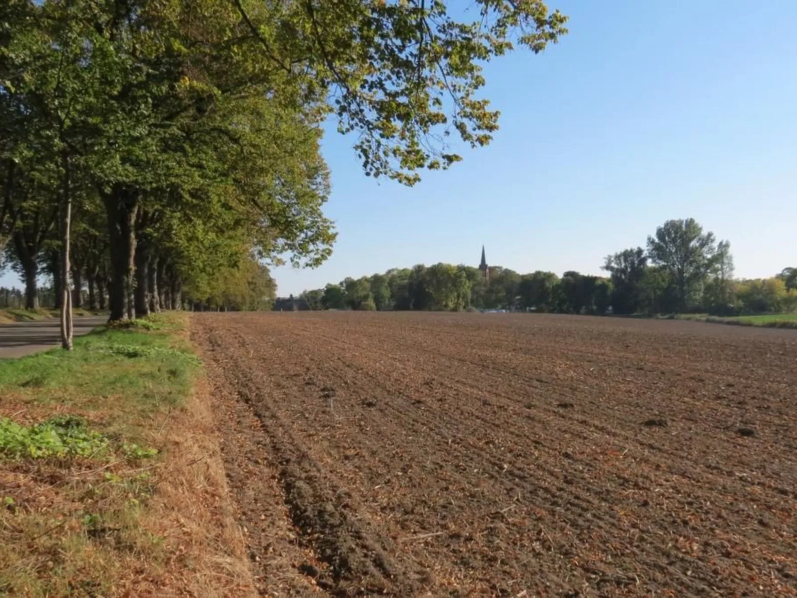 Haus am Wiek-Image-tags.info