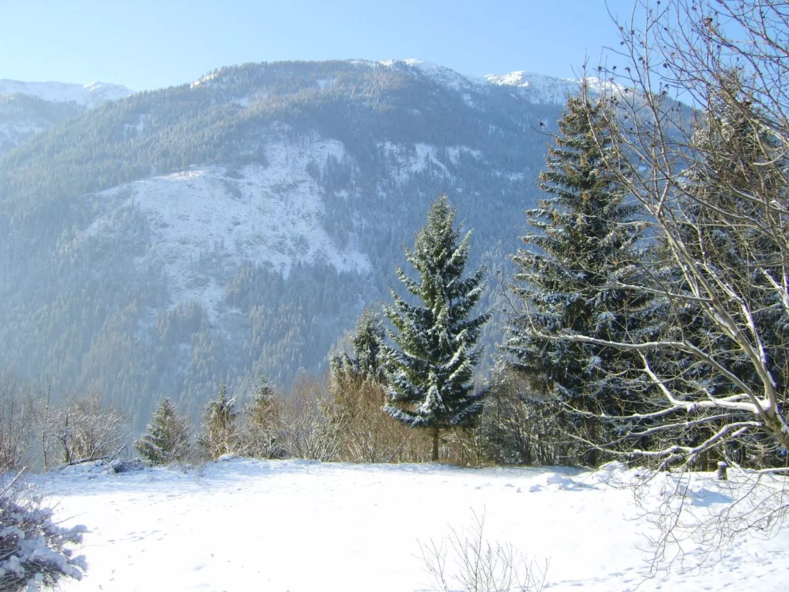 Ruhige Ferienwohnung in Feld am See-Buiten