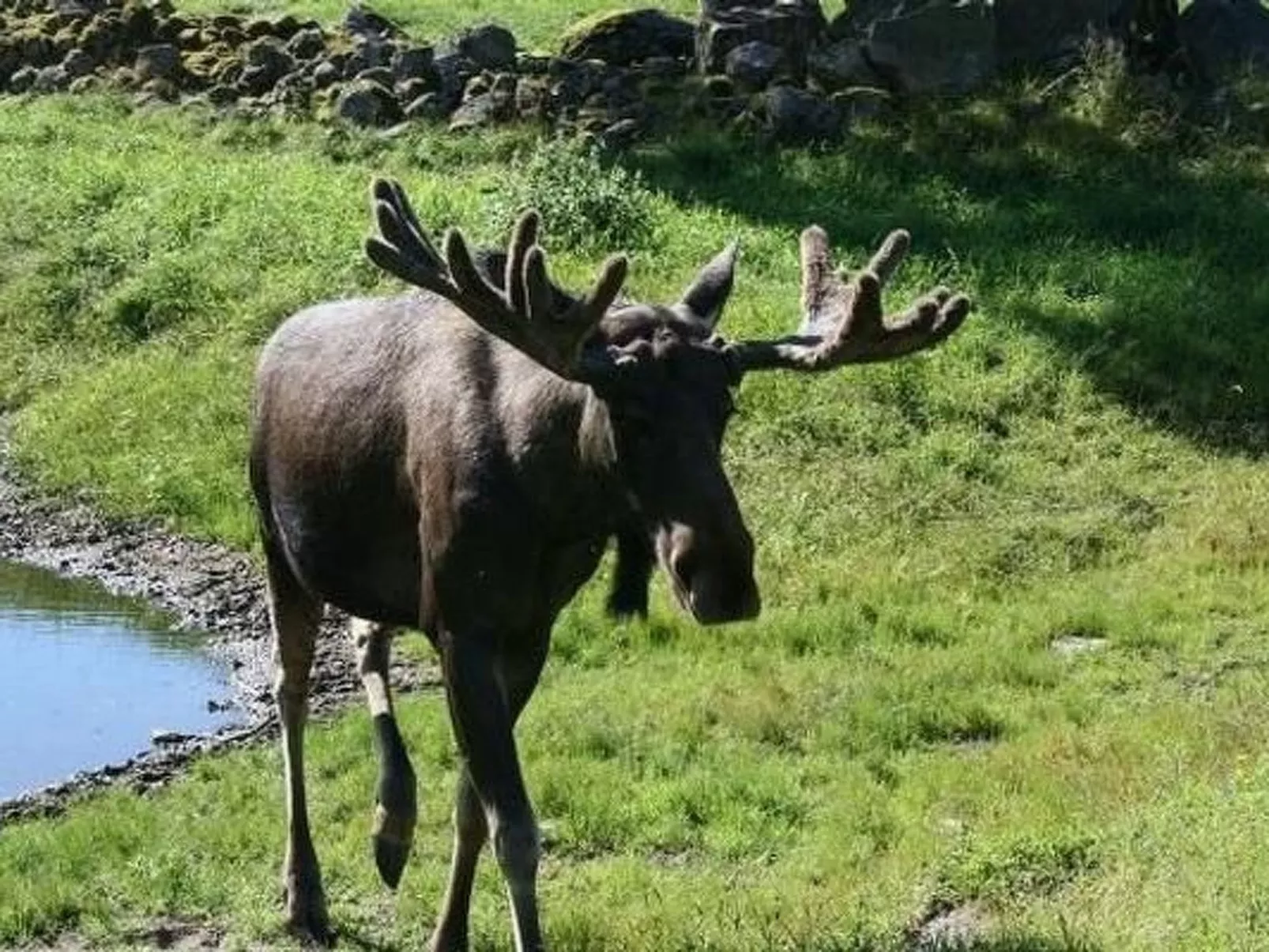 Småland ausserhalb Älmhult-Image-tags.info