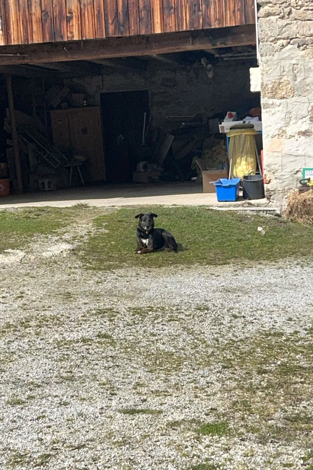 Wandlhof Ferienwohng-Buiten