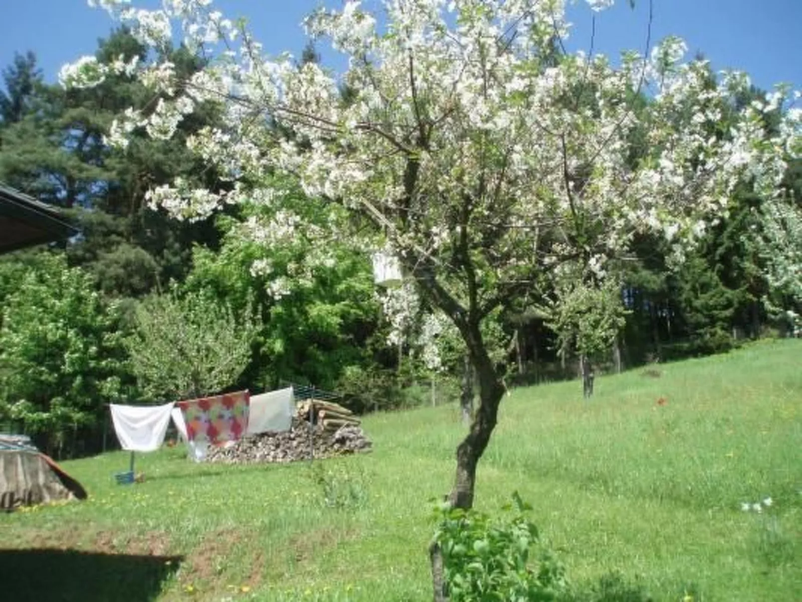 Villa "Na Hora" mit Garten, Grill und Terrasse-Buiten