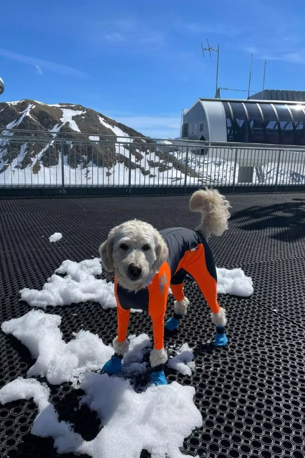 Amazing Chalet | Heidiland | Pool & Sauna-Buiten