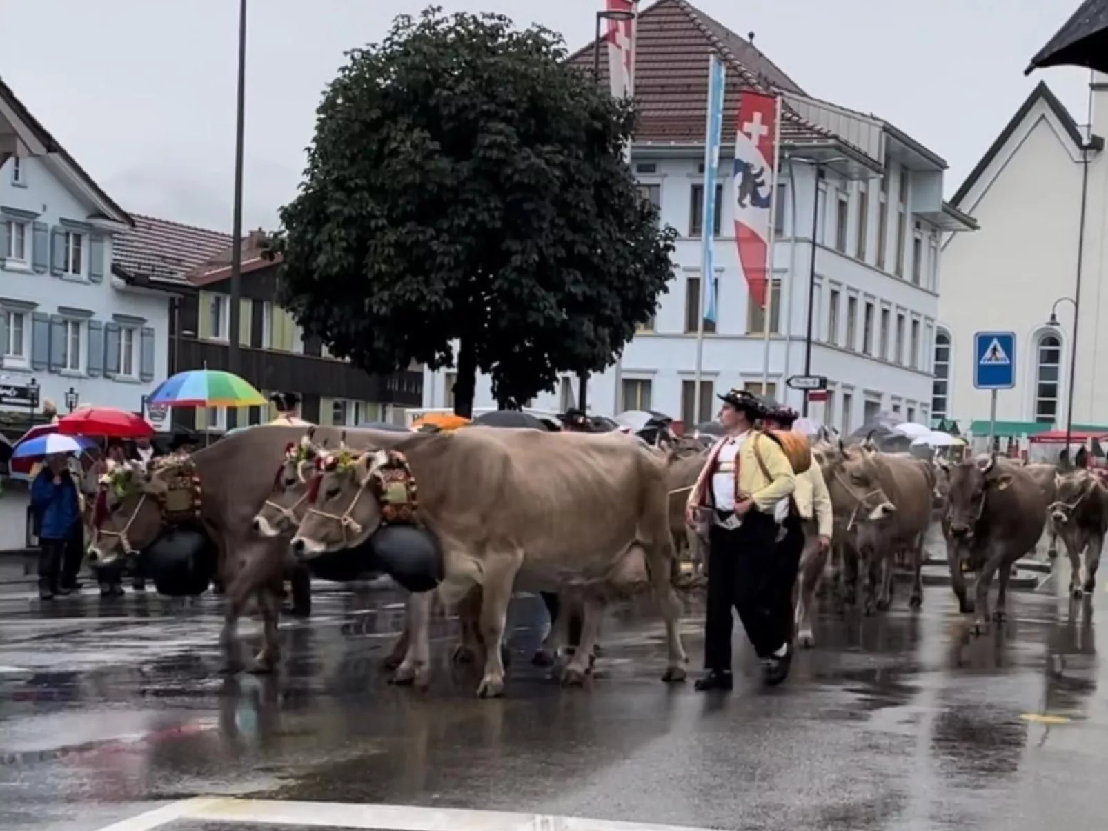 Im Dorf Urnäsch-Buiten