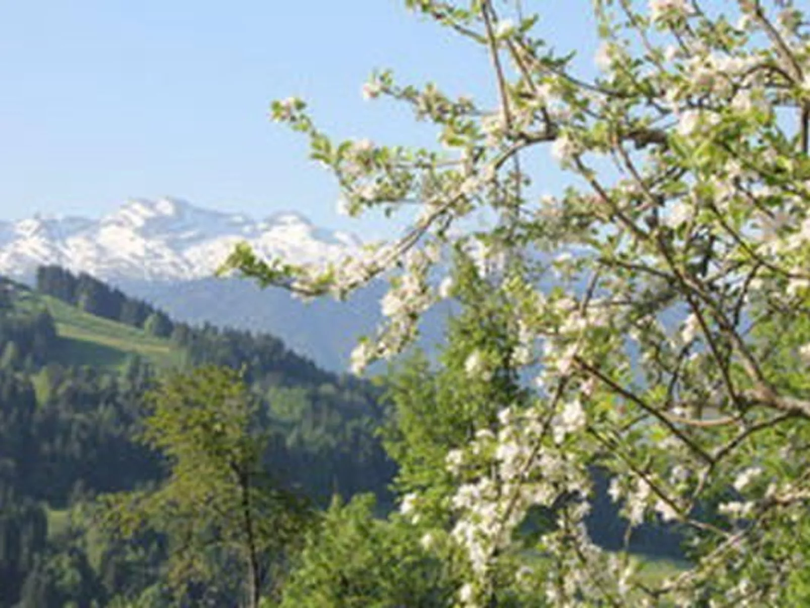 Obere Laui-Image-tags.info