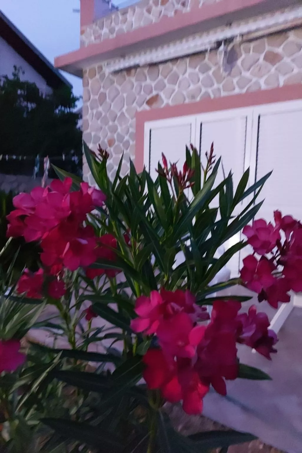 Mit Blick auf das Wasser-Buiten