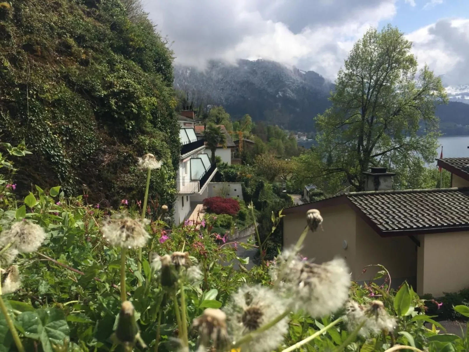 Traumstrand Vitznau-Buiten