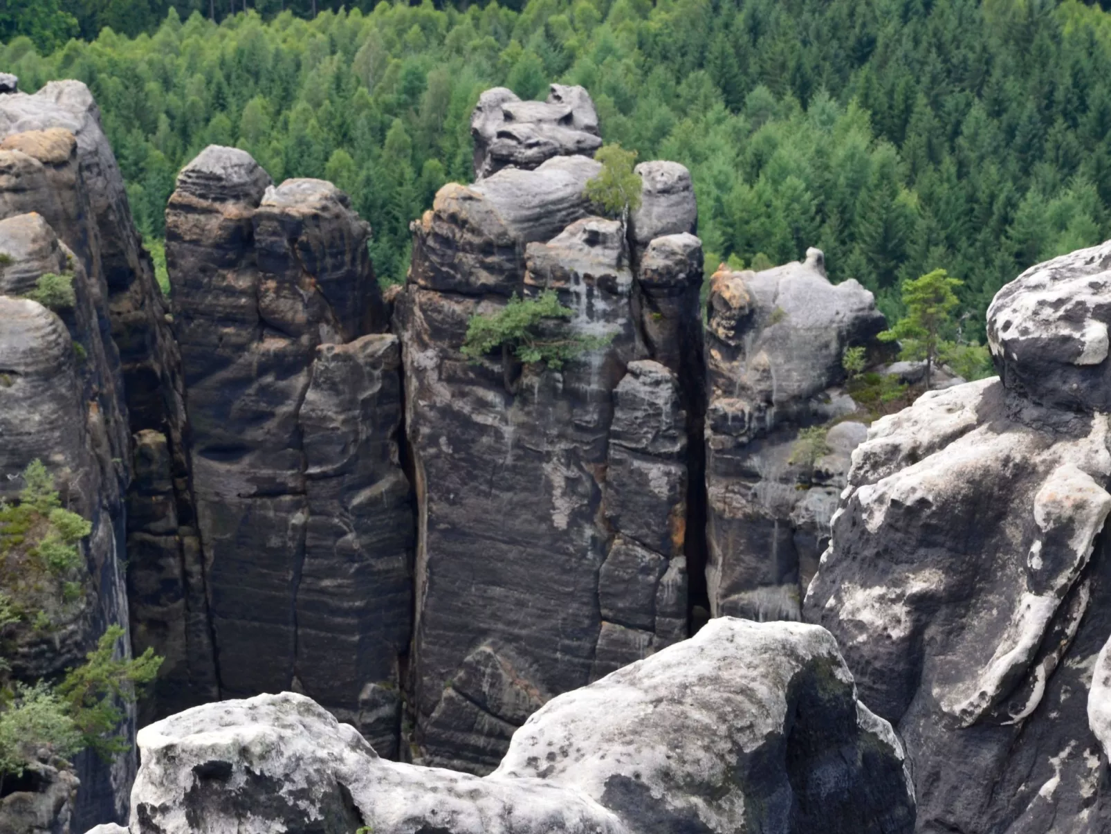 Panoramablick in Königstein-Buiten