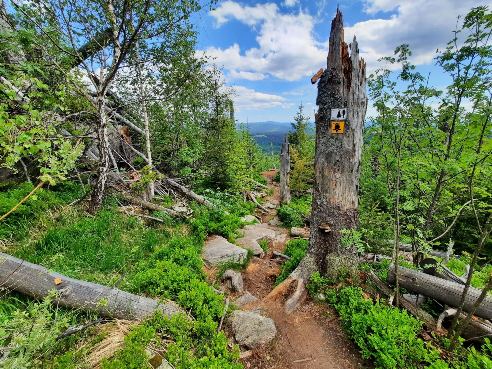 Landhaus Wildfeuer-Buiten