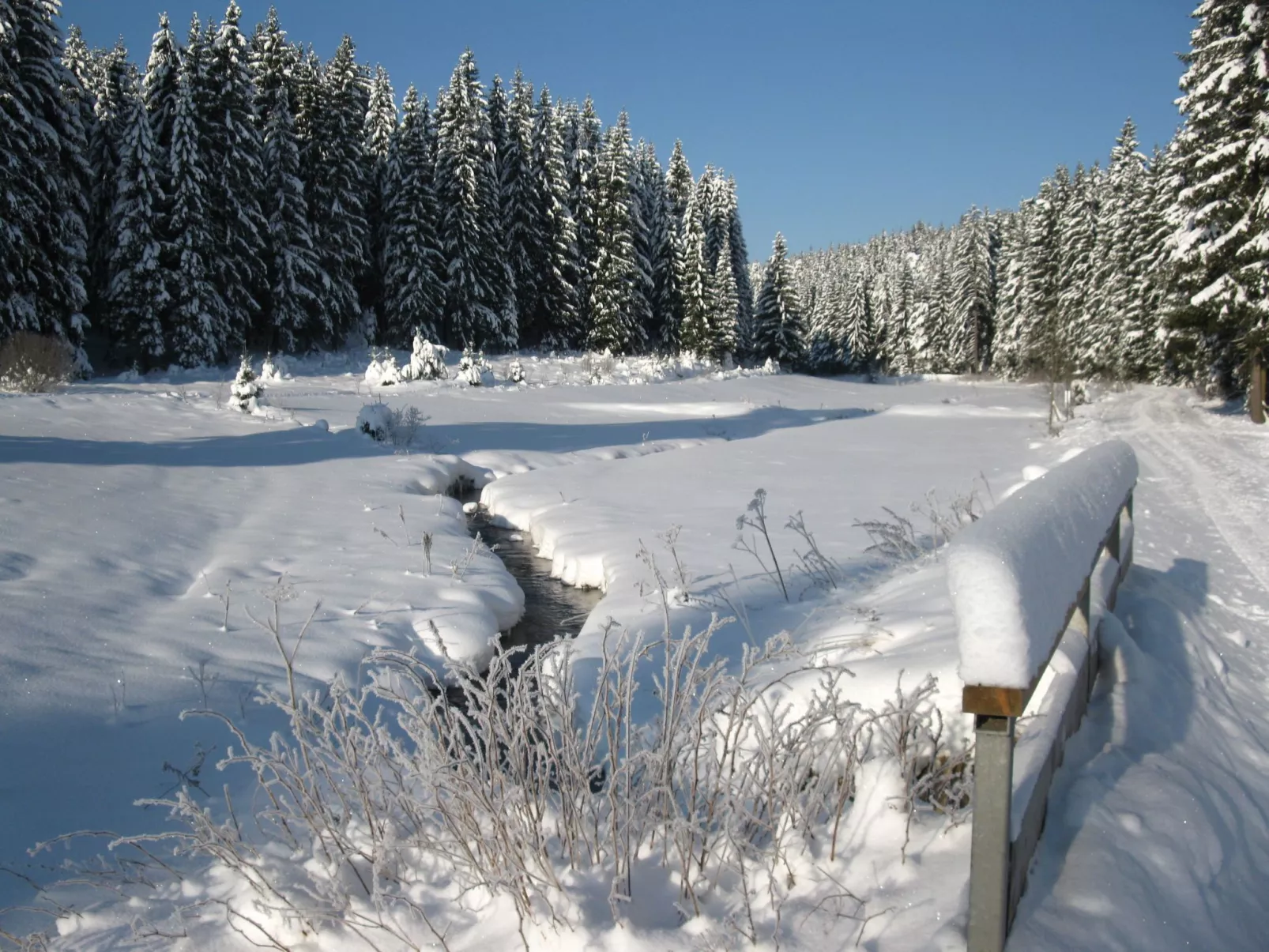 Moderne, niveauvoll eingerichtete Ferienwohnung-Image-tags.info
