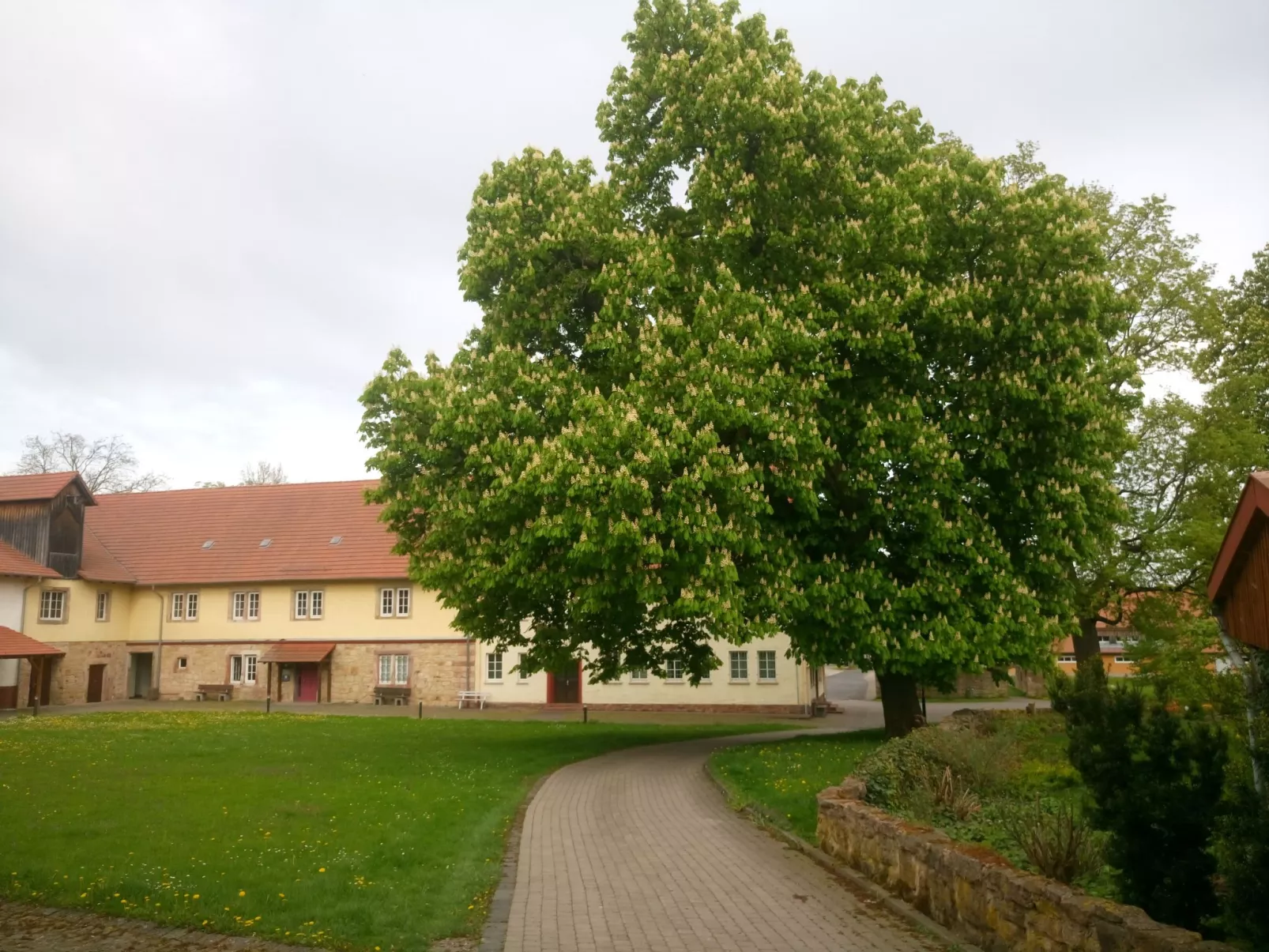 Alte Apotheke-Buiten
