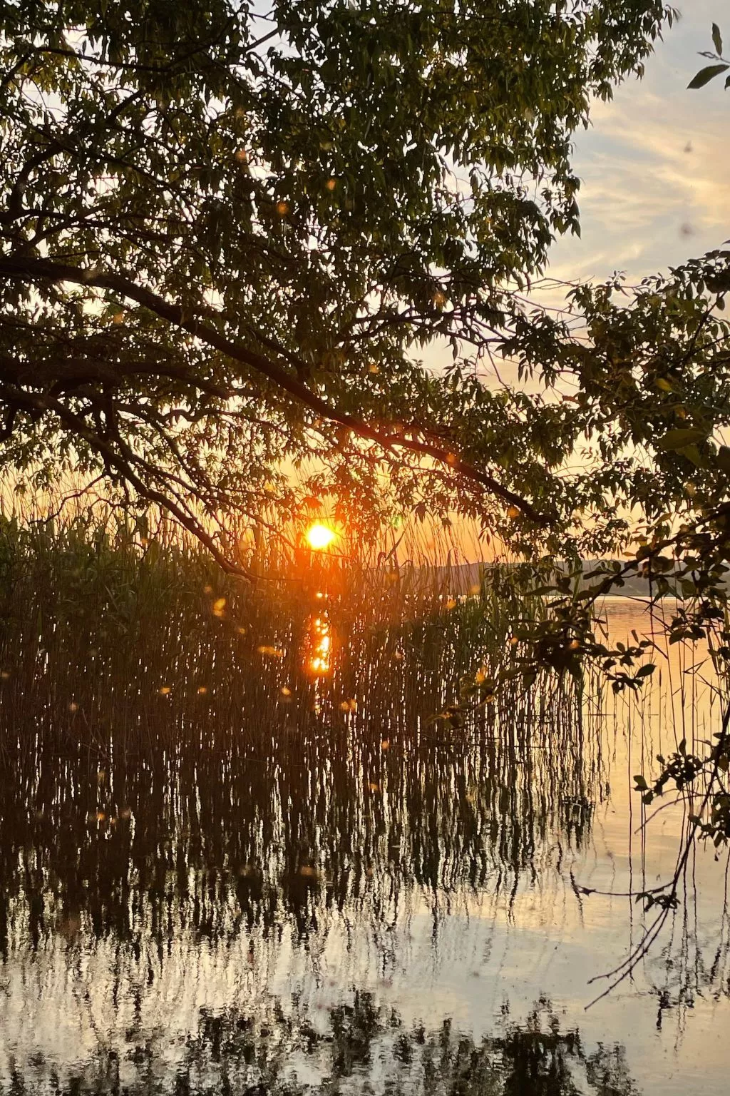 Mit Sauna und Kaminofen-Buiten