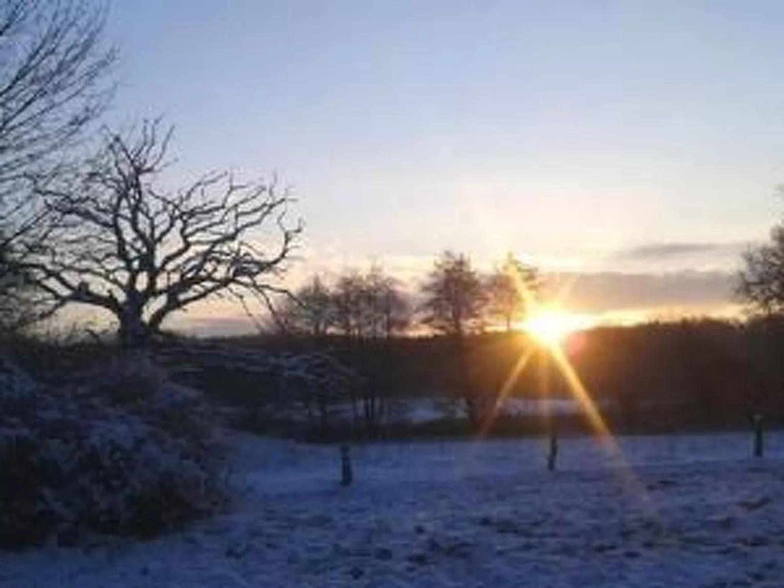 Reiterstübchen-Image-tags.info