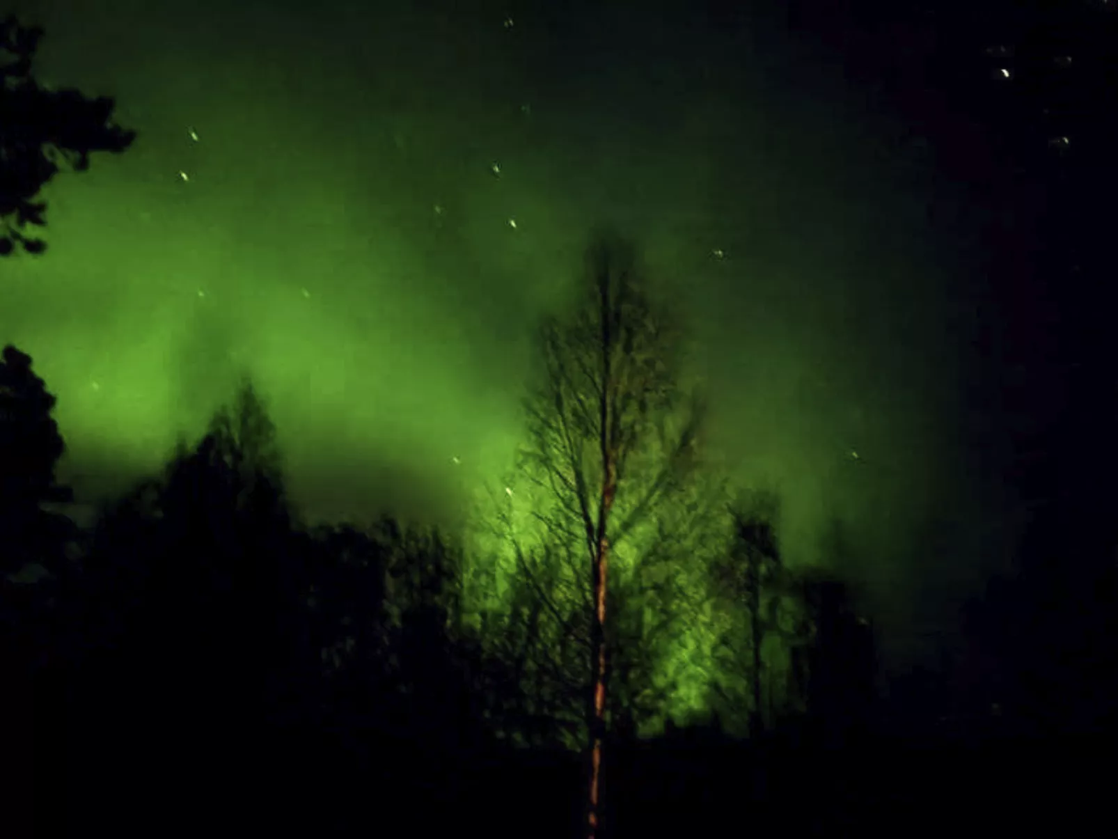 Gemütliches Ferienhaus Angermanland - höga Kusten-Image-tags.info