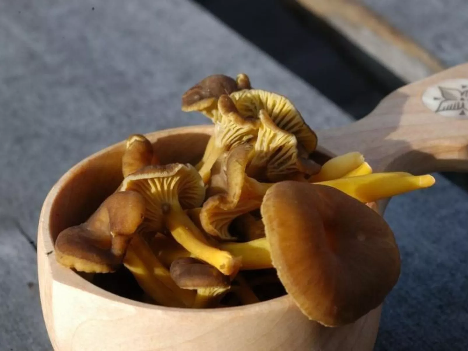 Gemütliches Blockhaus mit Kamin im Oviksfjäll-Image-tags.info